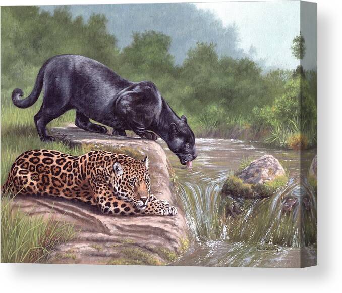 Black Panther Canvas Print featuring the painting Black Panther and Jaguar by Rachel Stribbling