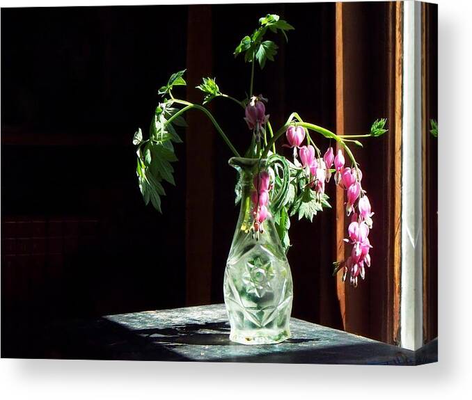 Bleeding Heart Bouquet Canvas Print featuring the photograph Bleeding Heart Bouquet by Joy Nichols