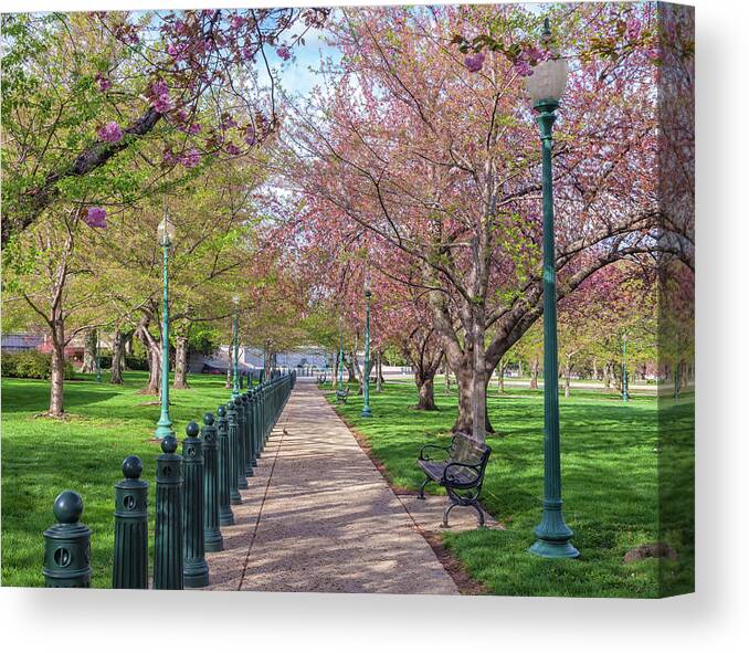 City Canvas Print featuring the photograph Blooms In The Park by Jonathan Nguyen