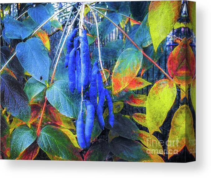 Mona Stut Canvas Print featuring the digital art Blue Beans 3 by Mona Stut