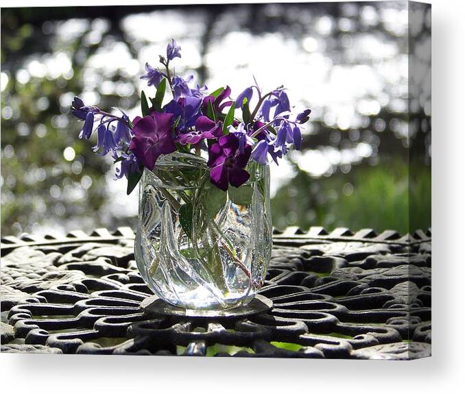 Blue Bells Canvas Print featuring the photograph Blue Bells by the River by Julie Rauscher