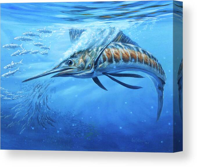 Sailfish Paintings Canvas Print featuring the painting Blue Bounty by Guy Crittenden