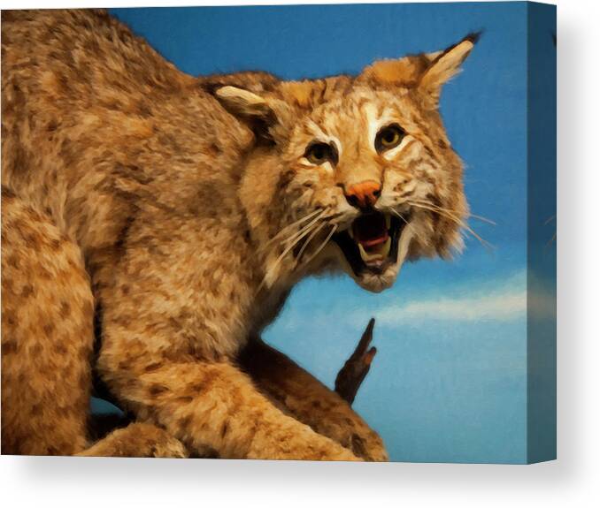 Bobcat Canvas Print featuring the digital art Bobcat on a branch by Flees Photos