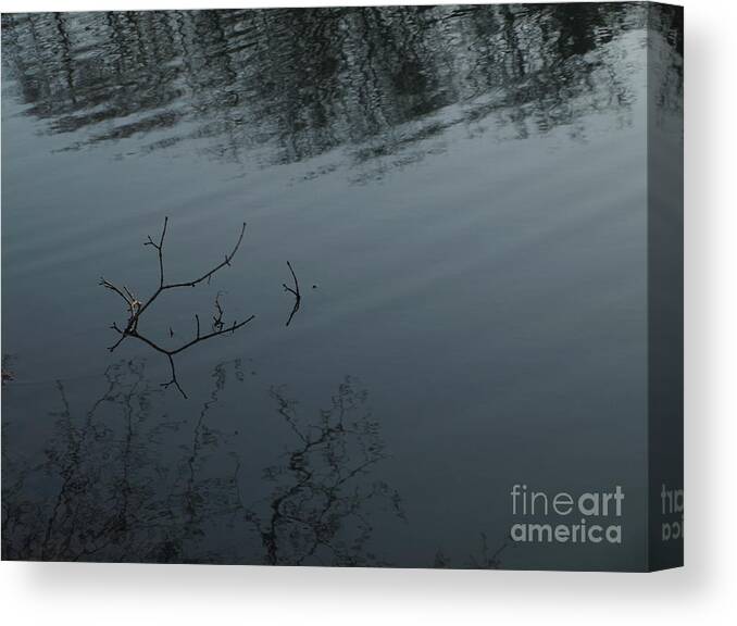 Water Reflections Canvas Print featuring the photograph Branchreflect by Mary Kobet