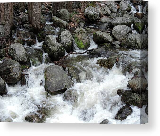 Creek Canvas Print featuring the photograph Bridalveil Creek 2 by Eric Forster