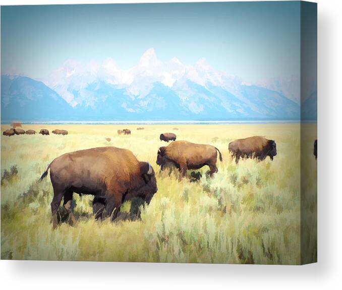 United States Canvas Print featuring the digital art Buffalo Roam, Smokey Grand Tetons, Wyoming by Joseph Hendrix