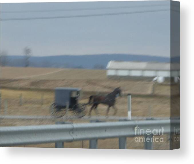 Amish Canvas Print featuring the photograph Buggy Ride Three by Christine Clark