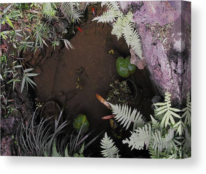 Pond Canvas Print featuring the photograph Buji Courtyard Pond by L Briggs