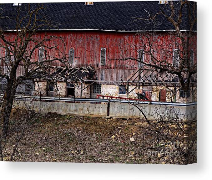 Barns Canvas Print featuring the photograph Busted by Teresa Hayes