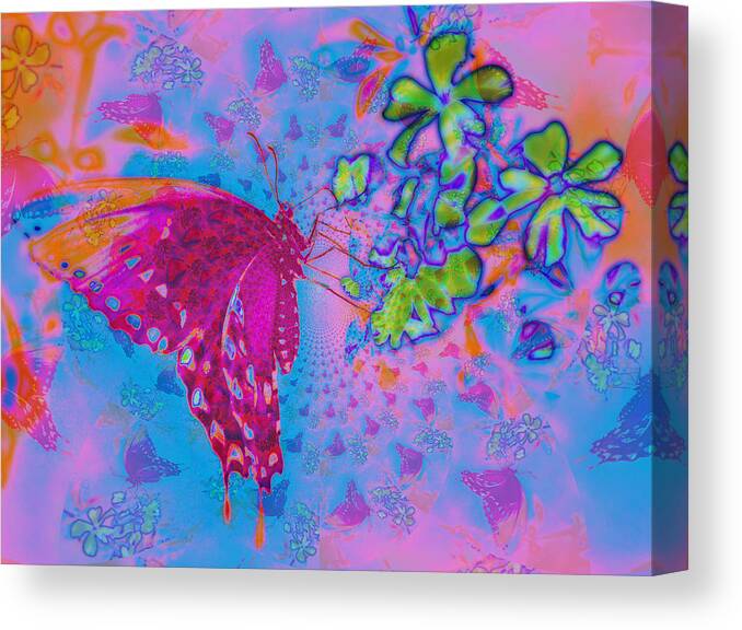 Butterfly Canvas Print featuring the digital art Butterfly Dreams by Rose Hill