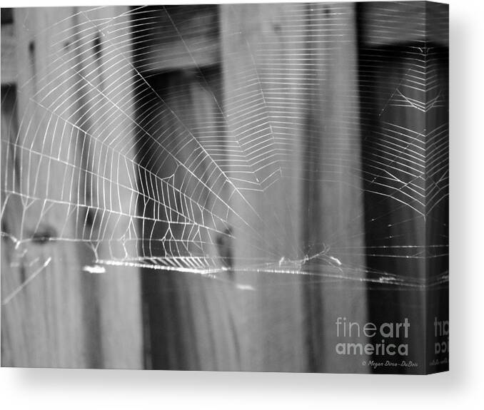 Cobwebs Canvas Print featuring the photograph BW SpiderWeb by Megan Dirsa-DuBois