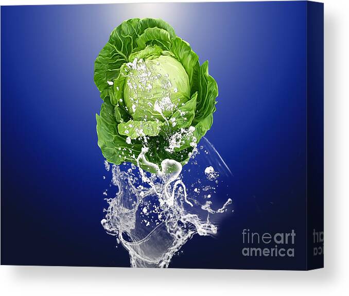 Cabbage Art Mixed Media Canvas Print featuring the mixed media Cabbage Splash by Marvin Blaine