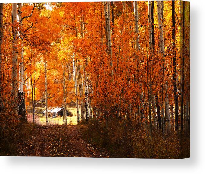 Zion Canvas Print featuring the photograph Cabin Among the Aspen by Alan Socolik
