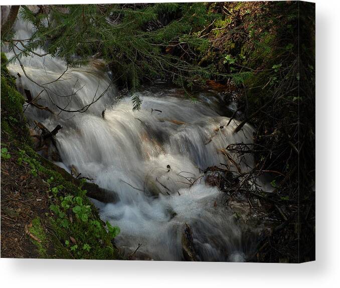 Flowing Water Canvas Print featuring the photograph Calming Stream by DeeLon Merritt
