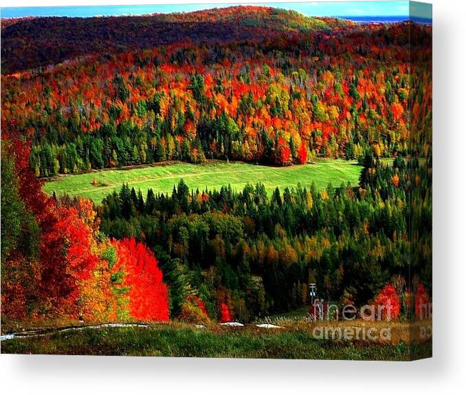 Fall Canvas Print featuring the photograph Celebration by Elfriede Fulda