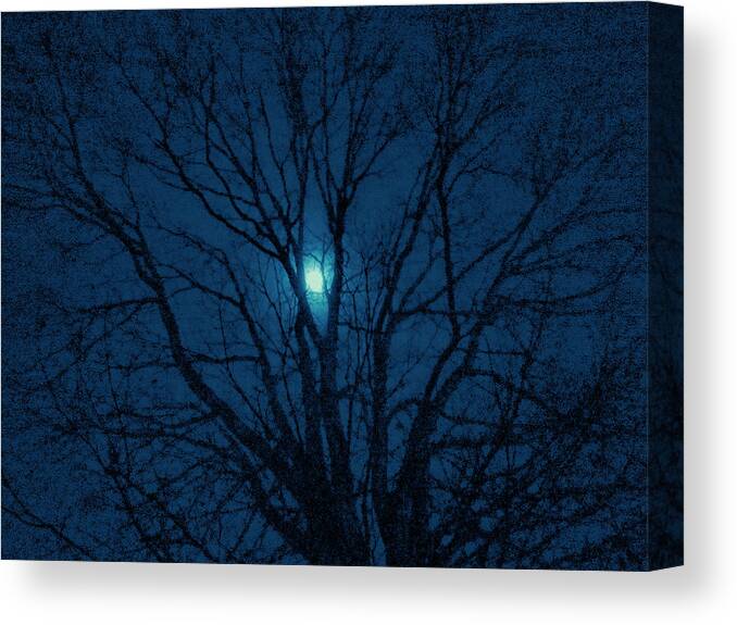 Cerulean Canvas Print featuring the photograph Cerulean Night by Denise Beverly