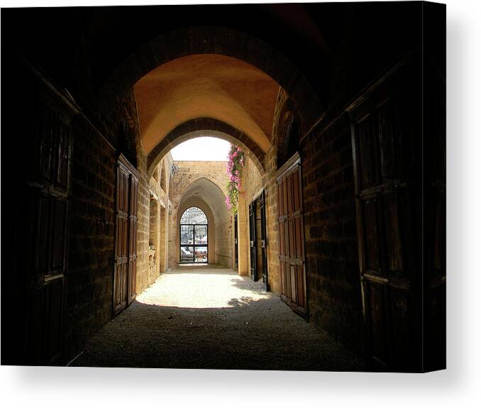 Marwan Canvas Print featuring the photograph Chaos Beyond the Gate by Marwan George Khoury