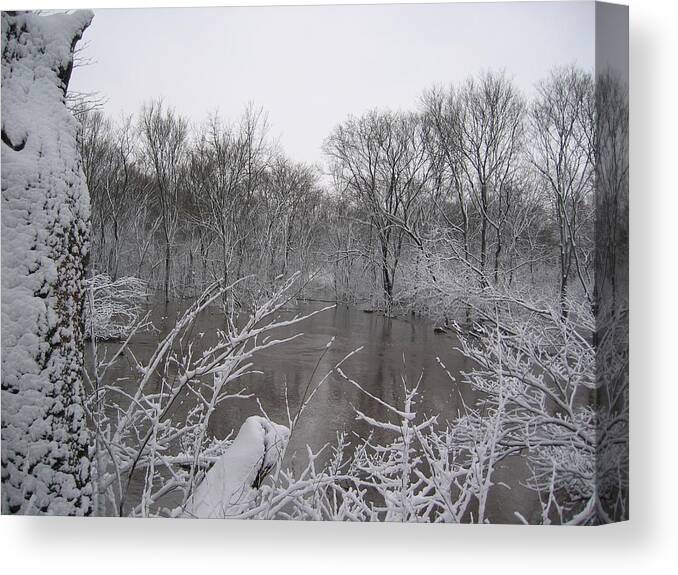 Landscape Canvas Print featuring the photograph Chilly Waters by Dylan Punke