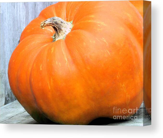 Pumpkins Canvas Print featuring the photograph Cinderellas Coach by Janice Drew