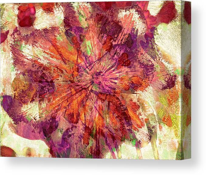 Clematis Canvas Print featuring the photograph Clematis Absentia 21 by Lynda Lehmann