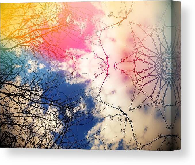 Colorful Canvas Print featuring the digital art Cloudburst tree kaleidoscope by Itsonlythemoon