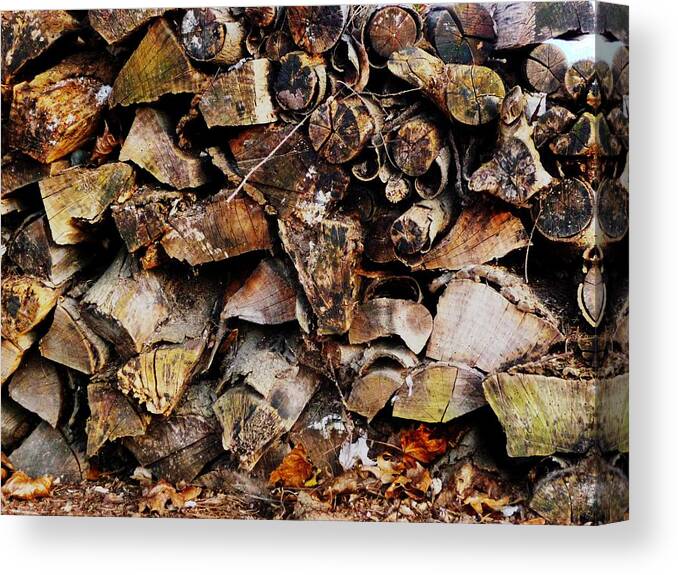 Logs Canvas Print featuring the photograph Colorful Autumn Logs by Margie Avellino