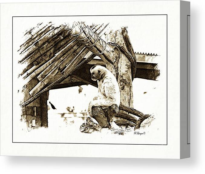 Animals Canvas Print featuring the digital art Contemplating by Rebecca Langen