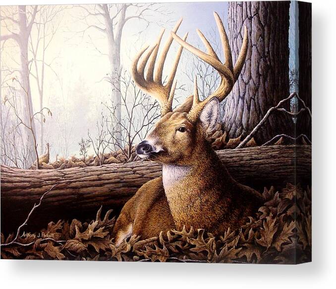 Deer Canvas Print featuring the painting Contented by Anthony J Padgett