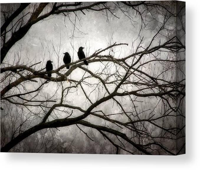 3 Crows Canvas Print featuring the photograph Contrive - By the Light of the Moon by Angie Rea