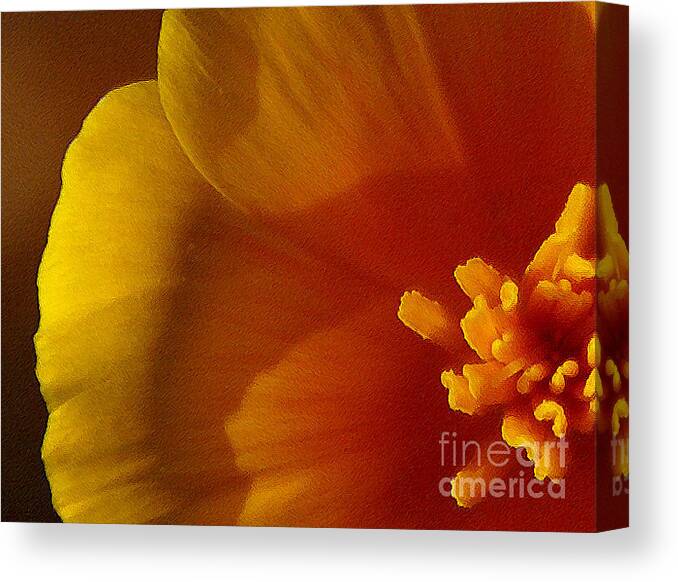 Poppy Canvas Print featuring the photograph Copa de Oro - vibrant by Linda Shafer
