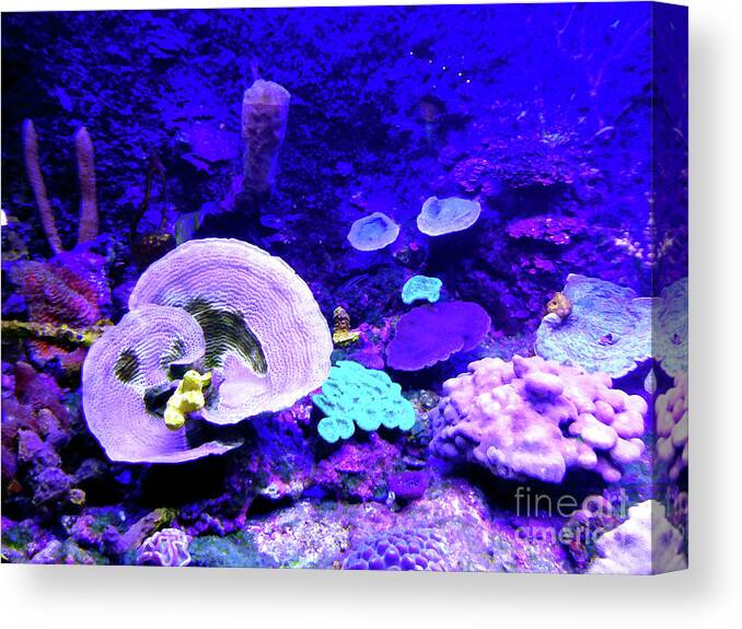 Coral Canvas Print featuring the digital art Coral Art by Francesca Mackenney