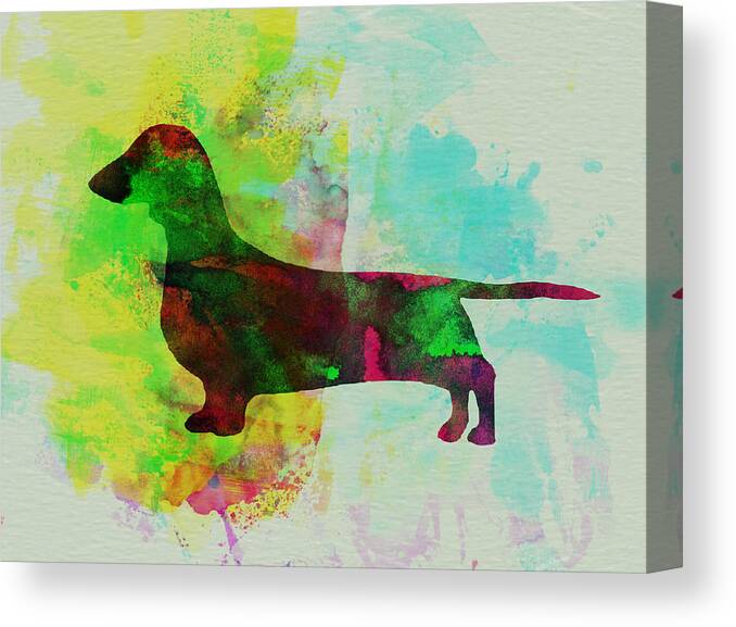 Dachshund Canvas Print featuring the painting Dachshund Watercolor by Naxart Studio