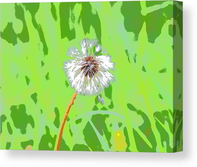 Flowers Canvas Print featuring the photograph Dandelion on Green by Mark Egerton
