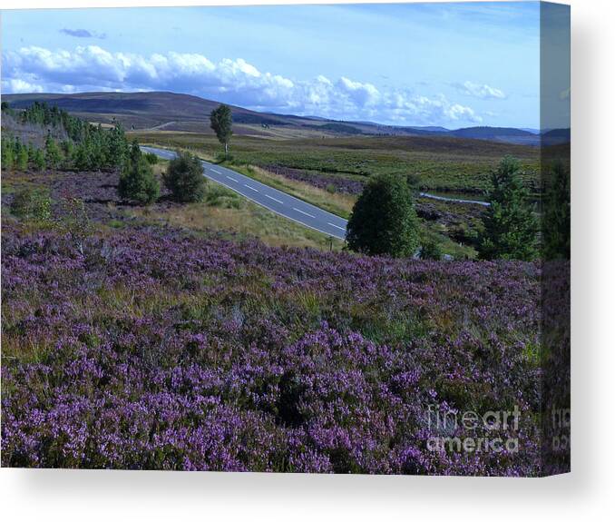 Dava Moor Canvas Print featuring the photograph Dava Moor, Moray, Scotland by Phil Banks