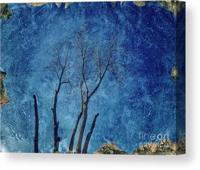 Tree Canvas Print featuring the photograph Desperation by Dee Flouton