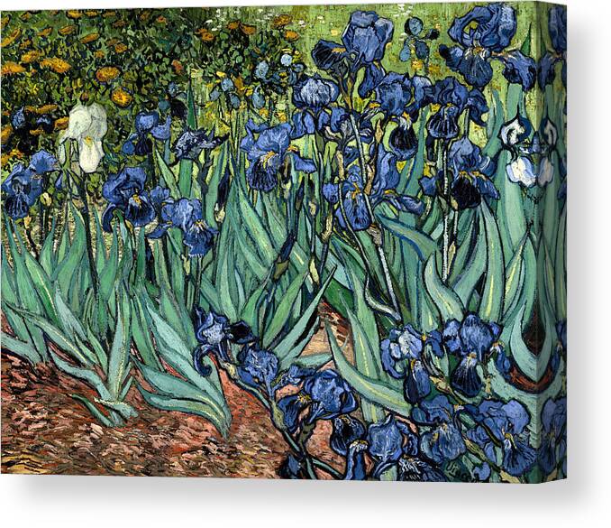 Vincent Van Gogh Canvas Print featuring the digital art Digital Remix Irises by David Bridburg