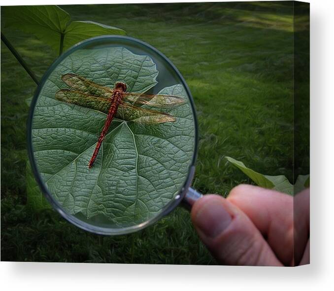 Science Canvas Print featuring the photograph Discovery by Mark Fuller