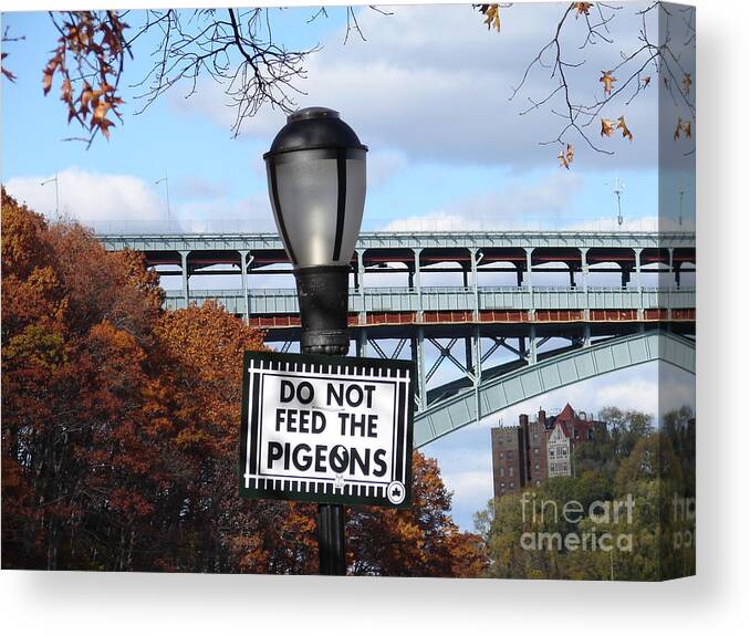 Sign Canvas Print featuring the photograph Do Not Feed the Pigeons by Cole Thompson