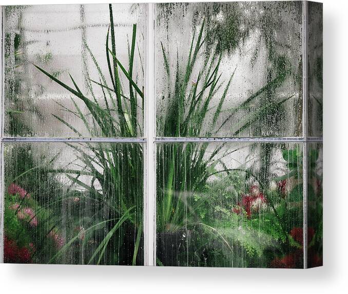Conservatory Canvas Print featuring the photograph Does it Rain in the Conservatory? by Lynn Wohlers