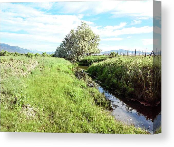 Rural Canvas Print featuring the photograph Down by the Creek by K Bradley Washburn