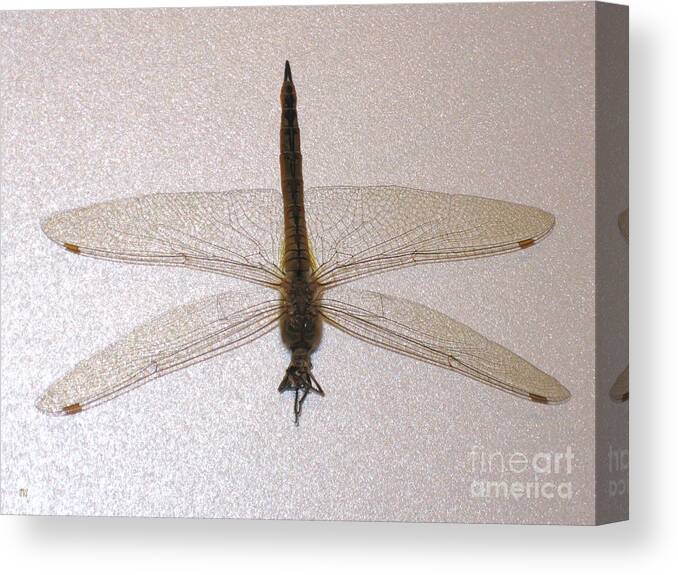 Dragonfly Beautiful Collection Canvas Print featuring the photograph Dragonfly Collection. Image 8. Promotion by Oksana Semenchenko
