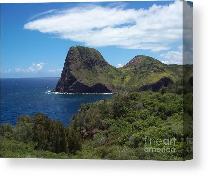 Landscape Canvas Print featuring the photograph Dramatic Maui Shoreline by Carol Riddle
