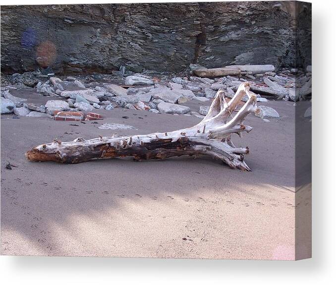 Driftwood Canvas Print featuring the photograph Driftwood by Susan Turner Soulis