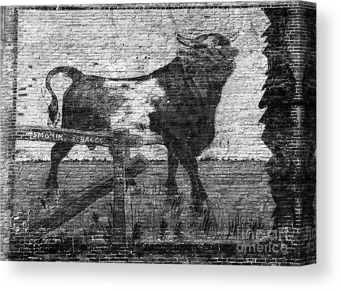 Bull Durham Canvas Print featuring the photograph Durham's Bull by David Lee Thompson