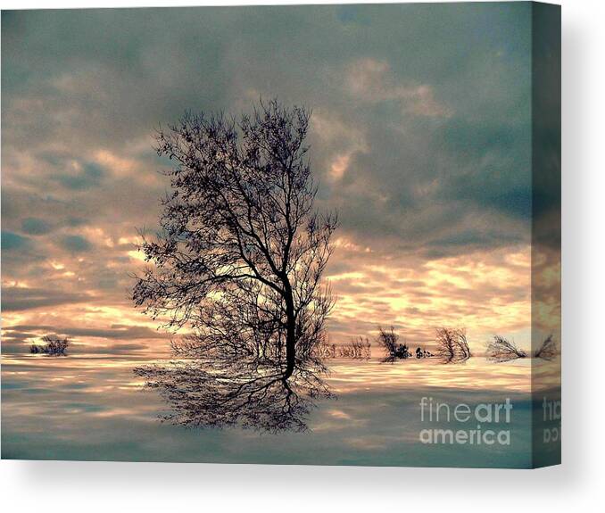 Tree Canvas Print featuring the photograph Dusk by Elfriede Fulda
