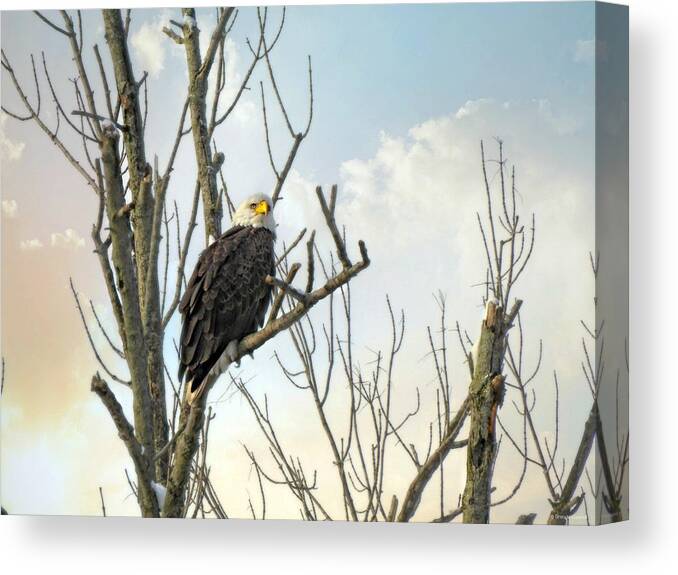 Eagle 2 Canvas Print featuring the photograph Eagle 2 by Dark Whimsy