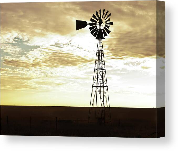 Agriculture Canvas Print featuring the photograph Early Morning Stalwart by Scott Cordell