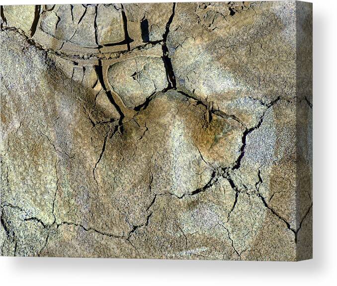 Mother Earth Canvas Print featuring the photograph Earth Memories-Thirsty Earth by Ed Hall
