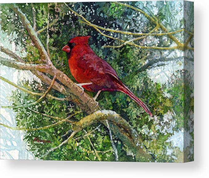 Cardinal Canvas Print featuring the painting Elegance in Red by Hailey E Herrera
