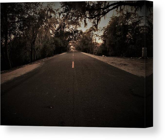 Trees Canvas Print featuring the photograph End of the Road by Jerry Connally